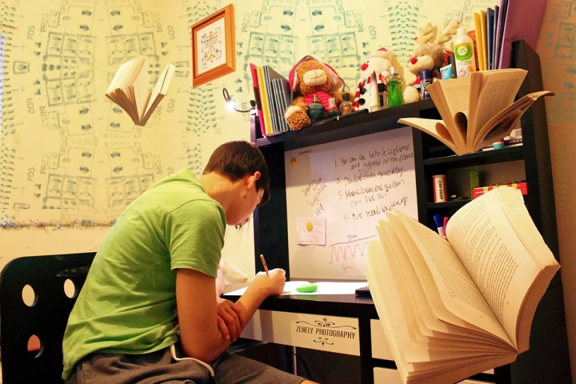 The Role of Emotional Intelligence in Student Success